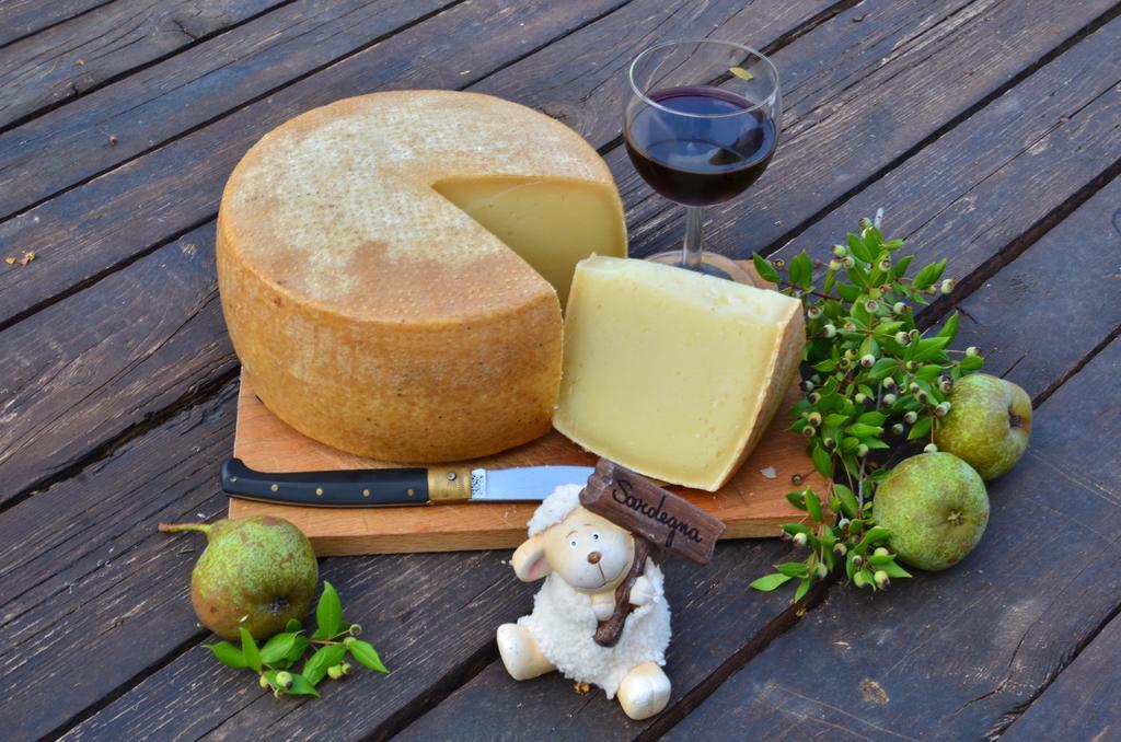 Agriturismo Turudhis 토르톨리 외부 사진