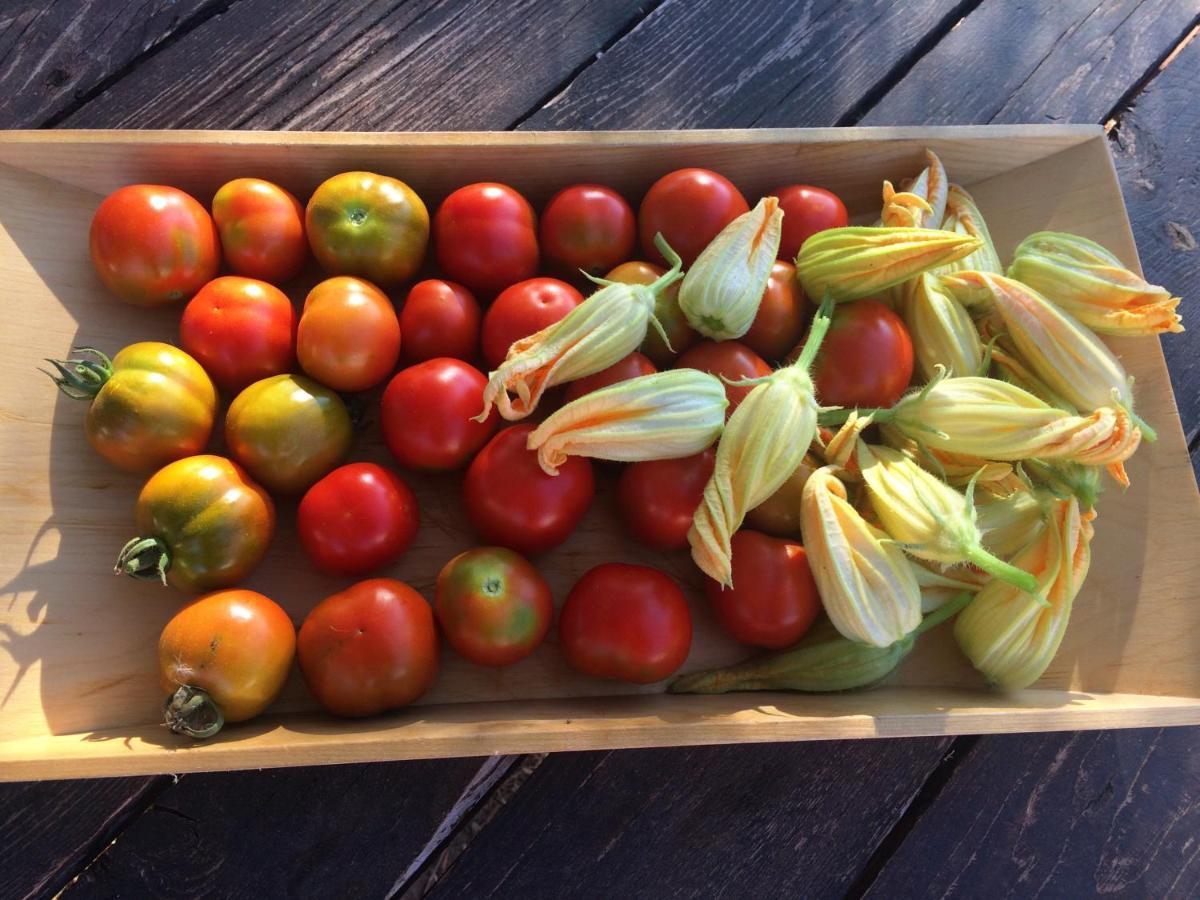 Agriturismo Turudhis 토르톨리 외부 사진