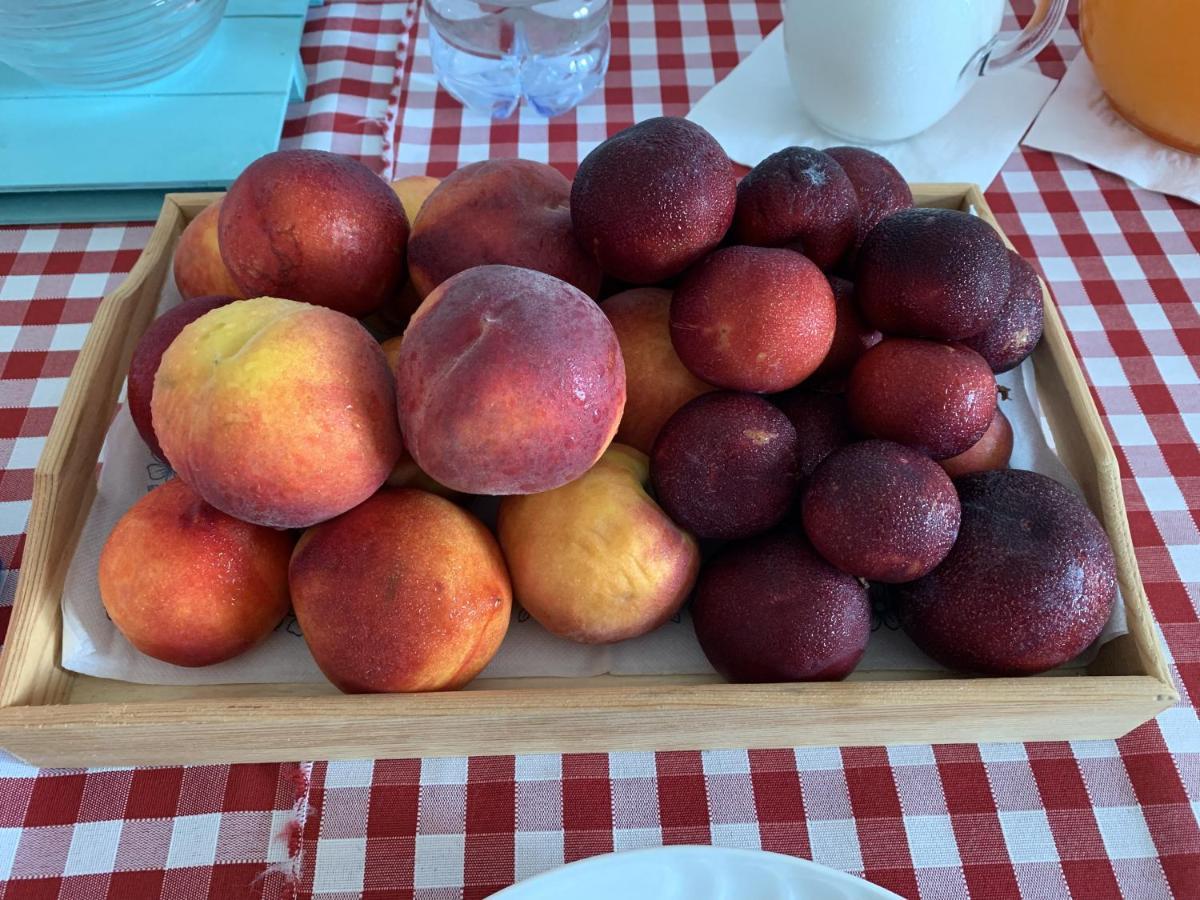 Agriturismo Turudhis 토르톨리 외부 사진